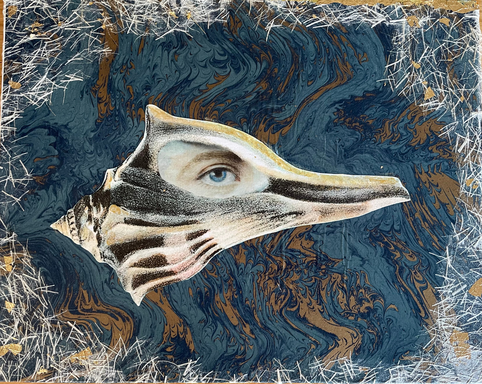collage mix media eye in the shell