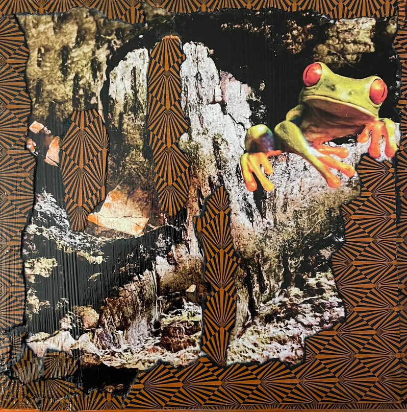 collage mix media the frog 2