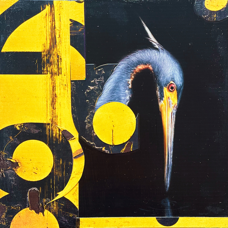 collage mix media bird in black - oiseau -jaune et noir